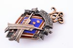 знак, 4-я перепись населения (с 2 звёздочками), № 179, серебро, 875 проба, Латвия, 30-е годы 20-го в...