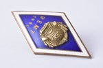 знак, Рижский электромеханический техникум (REMT), латунь, Латвия, СССР, 1960 г., 44.6 x 23.3 мм, за...