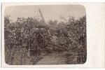 фотография, артиллеристы, немецкая оккупация, Латвия, начало 20-го века, 14х8.8 см...