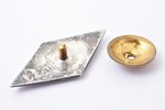 университетский ромб, LLA, Латвийская Сельскохозяйственная Академия(?), серебро, Латвия, СССР, 1953...