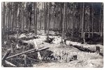 фотография, Латышские стрелковые батальоны, Латвия, Российская империя, начало 20-го века, 14х9 см...
