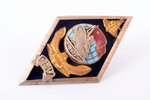 знак, Рижское мореходное училище (РМУ), Латвия, СССР, 1972 г., 49.5 x 28.5 мм...